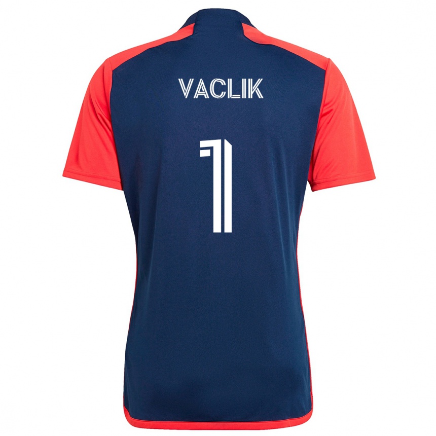 Enfant Football Maillot Tomas Vaclik #1 Bleu Rouge Tenues Domicile 2024/25