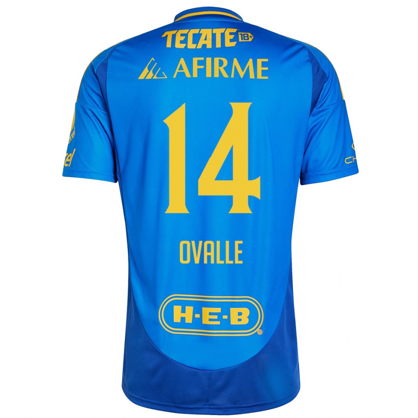 Homme Football Maillot Lizbeth Ovalle #14 Bleu Jaune Tenues Extérieur 2024/25