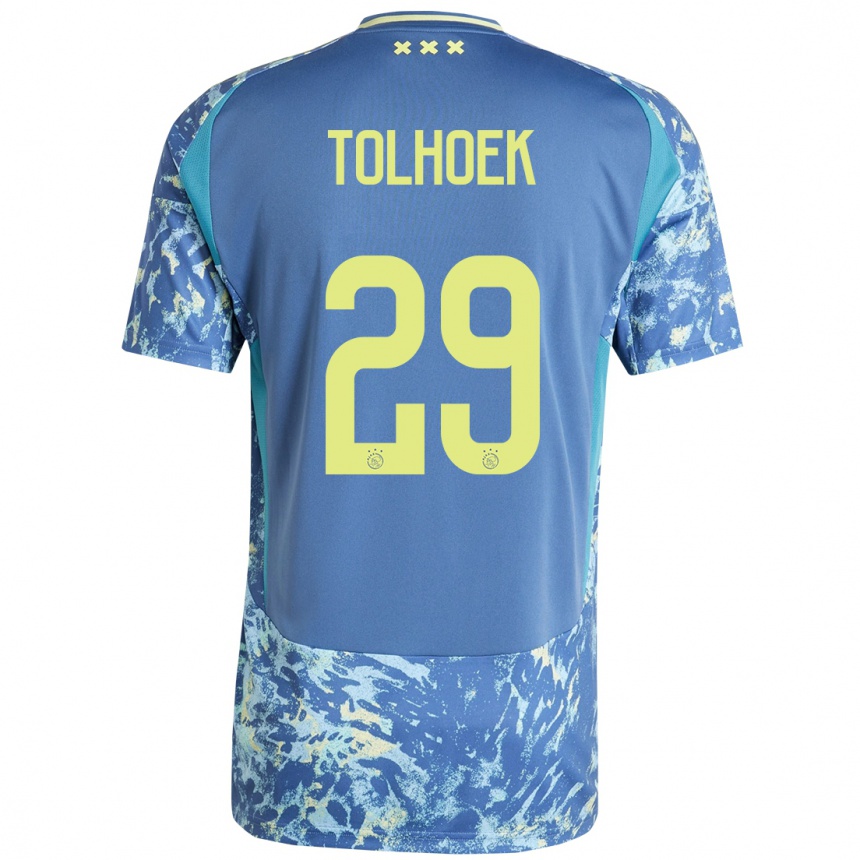 Homme Football Maillot Danique Tolhoek #29 Gris Bleu Jaune Tenues Extérieur 2024/25