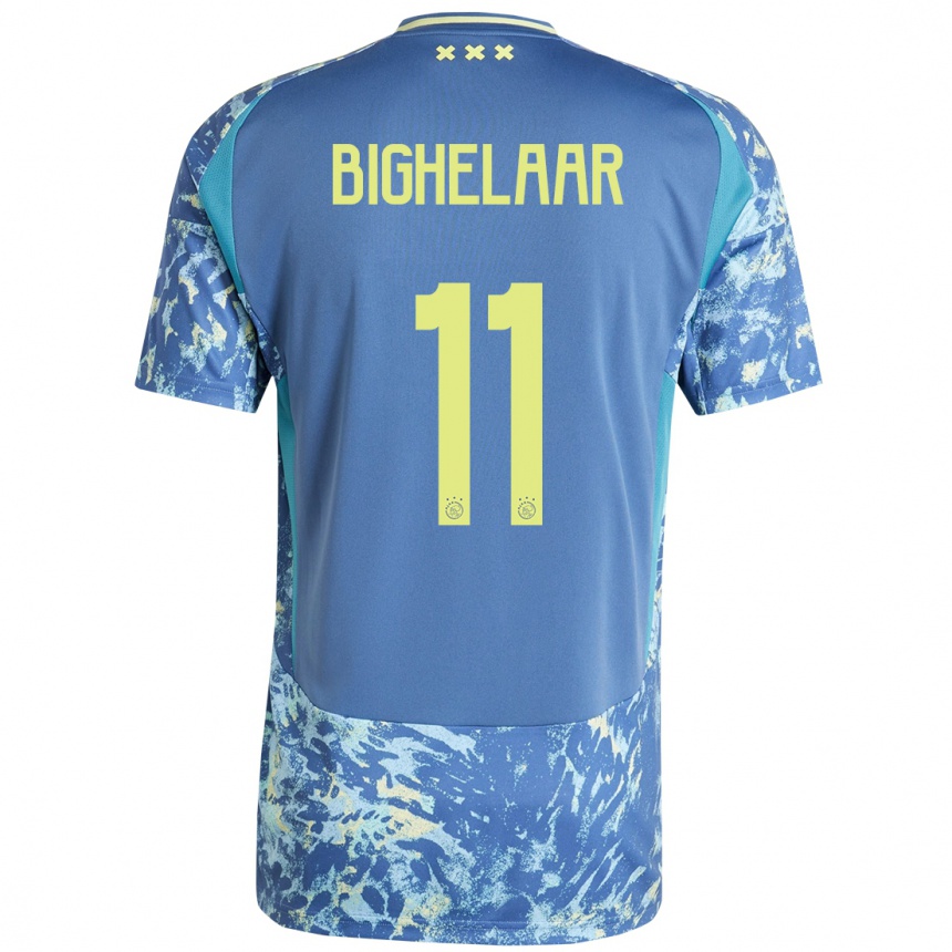 Femme Football Maillot Marjolijn Van Den Bighelaar #11 Gris Bleu Jaune Tenues Extérieur 2024/25