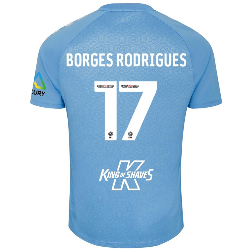 Enfant Football Maillot Raphael Borges Rodrigues #17 Bleu Blanc Tenues Domicile 2024/25