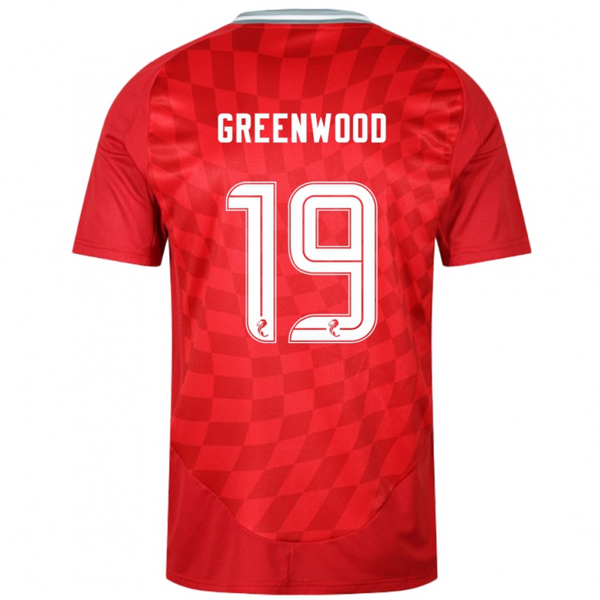 Enfant Football Maillot Brodie Greenwood #19 Rouge Tenues Domicile 2024/25