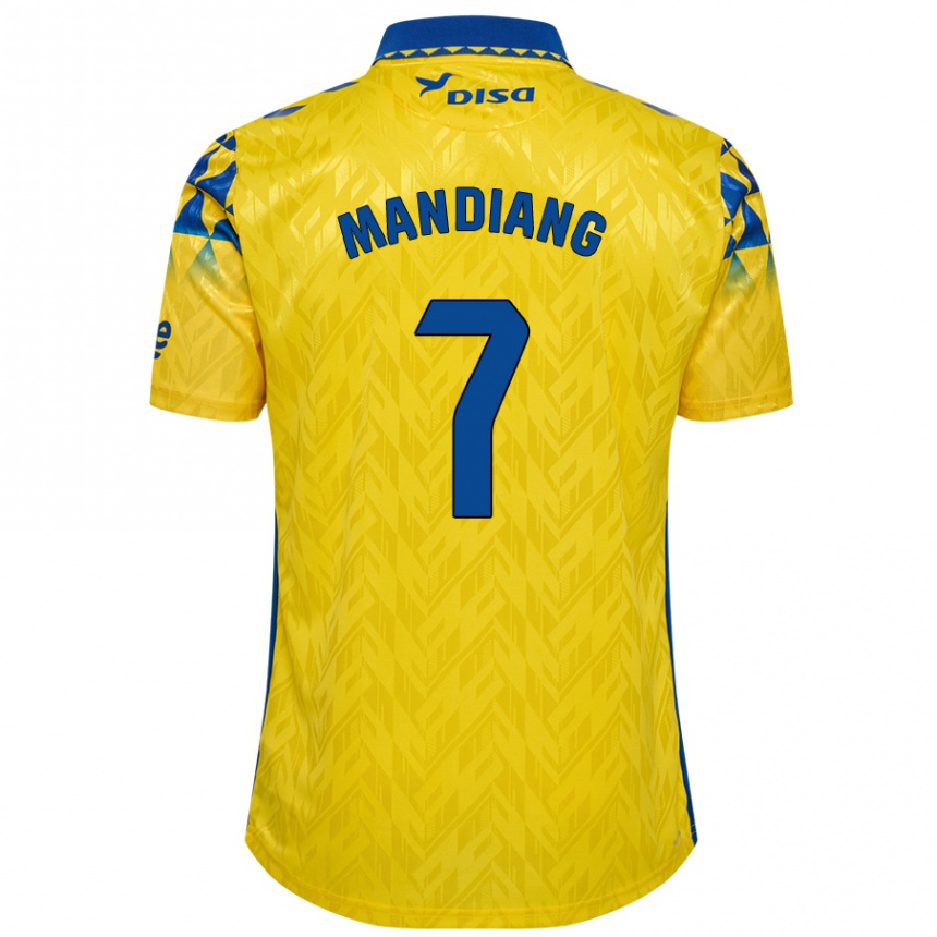 Enfant Football Maillot Saliou Mandiang #7 Jaune Bleu Tenues Domicile 2024/25